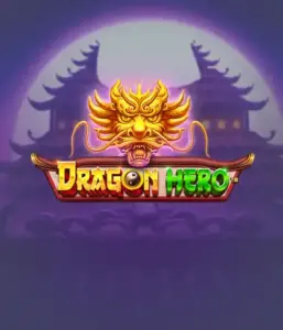 Присоединитесь к фантастическое приключение с игрой Dragon Hero от Pragmatic Play, демонстрирующей захватывающую визуализацию мощных драконов и эпических столкновений. Исследуйте мир, где легенда встречается с триллом, с представляющими зачарованных оружий, мистических существ и сокровищ для захватывающего слот-опыта.